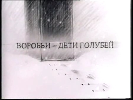 Воробьи дети голубей. Воробьи дети голубей но это не точно. Воробьи дети голубей доказательства. Правда ли что воробьи дети голубей.