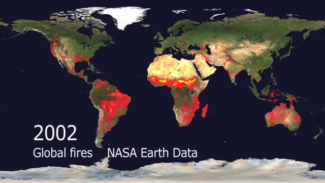 Карта пожаров онлайн nasa