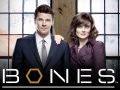 Кости / Bones 9 сезон