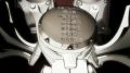 Shingeki no Kyojin #17 - Нашествие Титанов [Gezell Studio] +надписи