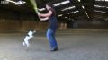 Собака установила мировой рекорд по прыжкам на скакалке