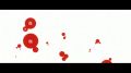 История кошки (чёрная глава) / Nekomonogatari (Kuro) - 0 серия (Озвучка) [Zendos & Eladiel]