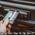 DeeJay Dan - Deep In My Soul 117 [2019]