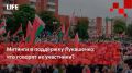 Life Новости. Митинги в поддержку Лукашенко: что говорят их участники?
