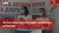 Life Новости. Волонтёры конституции появились в России