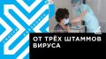 Телеканал Хабаровск. В Хабаровском крае продолжается бесплатная вакцинация от гриппа