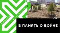 Телеканал Хабаровск. Хвойные деревья высадили на Аллее памяти Победы Великой Отечественной войне в Индустриальном районе