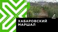 Телеканал Хабаровск. В Хабаровском крае выводят новые сорта овса и ячменя