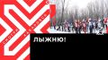 Телеканал Хабаровск. Хабаровске прошла ежегодная массовая гонка «Лыжня России»