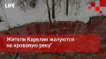 Life Новости. Жители Карелии жалуются на кровавую реку