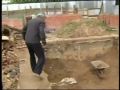 Владелец частного дома в деревне Мамоново обнаружил в своём огороде скелеты восьми человек