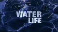 Вода - линия жизни / Water Life - Серия 25 · Water`s Voices / Голоса воды