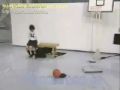 Japanese Performance - Basketball